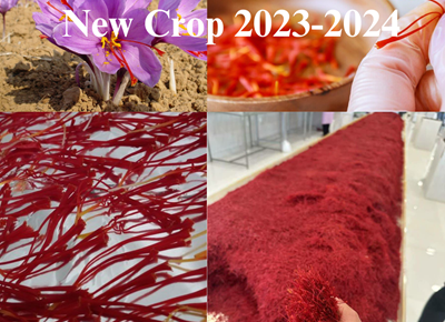 Saffron New Crop 2023-2024