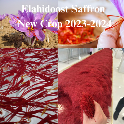 Saffron New Crop 2023-2024